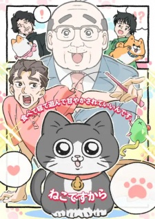 「ねこに転生したおじさん」のキービジュアル